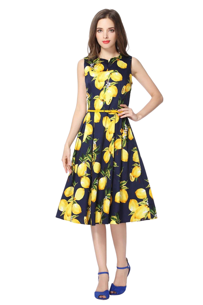 Lemon and Navy V Neck Vintage Cotton Dress